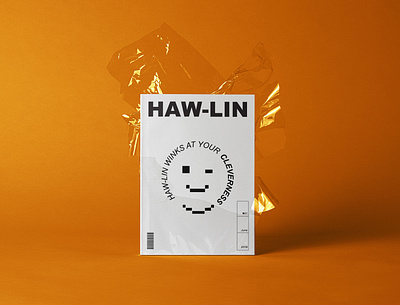 Hawlin Mag 1.0 aesthetic artdirection bocetandostudio branding design editorial illustration editorialdesign icon inspirational inspirations minimal typography