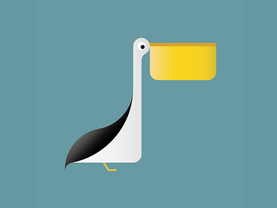 The Peli animals animals illustrated art australia bird birds design flat illustration illustrator pelican sea vector water