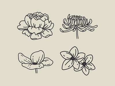 Flower icons anemone art chrysanthemum daisy design flowers icon illustration line little logo peony procreate simple