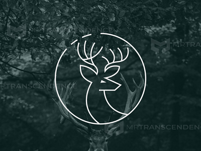 Deer Logo branding clean logo design iconmark illustration logo design minimalist logo design mrtranscendence professional logo simple unique logo