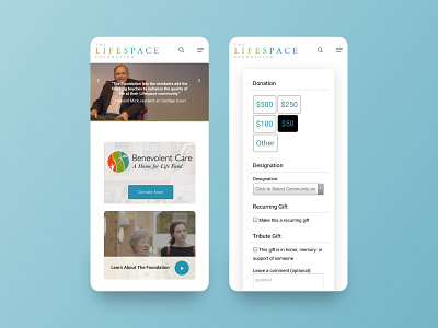 The Lifespace Foundation Nonprofit Website cause css design donate integrations mobile nonprofit philanthropy ui ux website website design wordpress