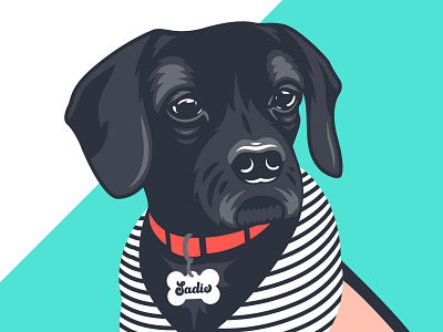 Sadie branding design dog dog illustration flat illustration vector