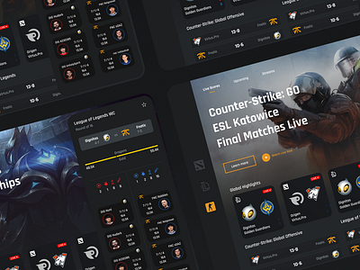 Esport Tournaments Platform Concept