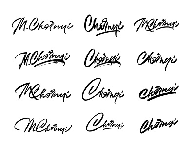 The versions of the photographer's signatures callygraphy handlettering handwritten lettering logo script type typography