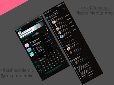 Picaro Dashboard UI UX Concept bandung illustration kixpandemix ui design uidesign uxdesign