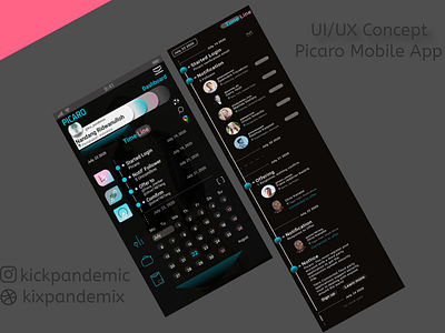 Picaro Dashboard UI UX Concept