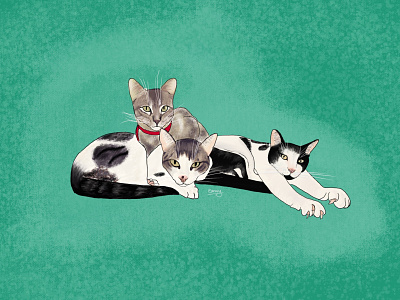 ✨Gatites Love. Frida, Olaf & Oreo ✨ cats illustration