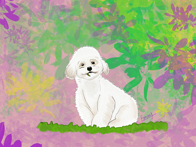 ✨ Uma✨ dog illustration