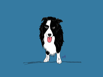 ✨Zeb✨ dog illustration