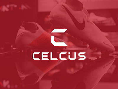 LOGO DESIGN FOR CELCIUS