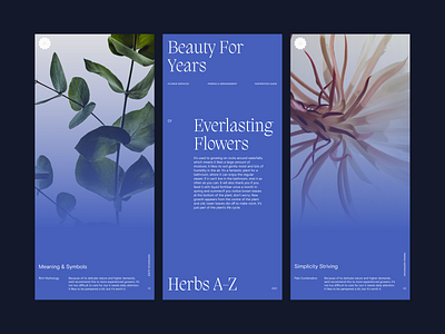 Flowery - Cards branding design minimal typography