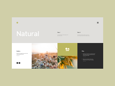 Plant care blog - Design design minimal typography ui ux web