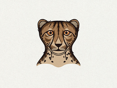 The Cheetah