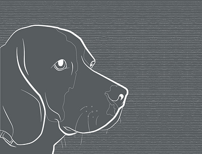 Sir Cooper: digital line drawing of a beagle adobe illustrator avatar beagle dog illustration graphic green grey icon lineart minimal