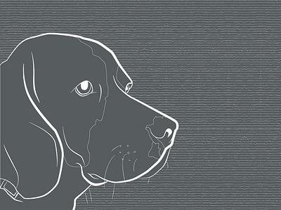 Sir Cooper: digital line drawing of a beagle