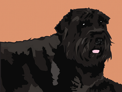 Jelly Bean: print for a South African Bouvier Rescue Society