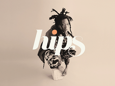 HIPS Studio Logo brand branding custom type fashion identity logo logotype typography