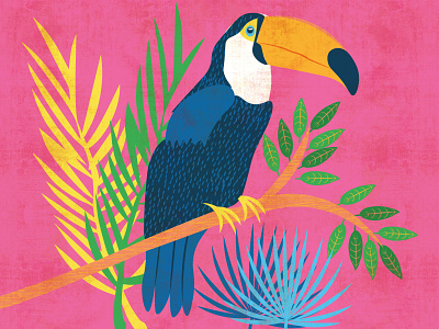Toucan Tropical Print birds design illustration print design toucan
