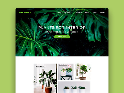 Botanica botanica design plants shop site ui ux web webdesign website