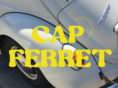 Cap Ferret branding design illustration logo typography ui vector