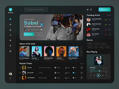 Music Player Web App UI Design
