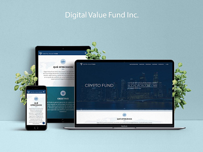 Digital Value Fund ui ux web webdesign