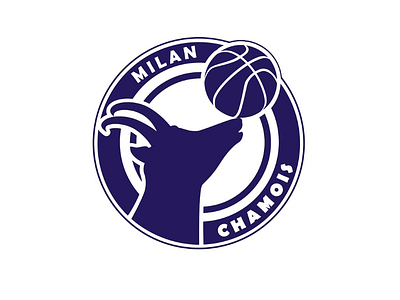 Basketball team logo