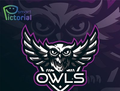 OWLS Mascot Brand Logo branding business logo company brand design graphic design logo logo design mascot brand smart pictorial smartpictorial vector