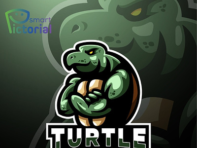 TURTLE LOGO