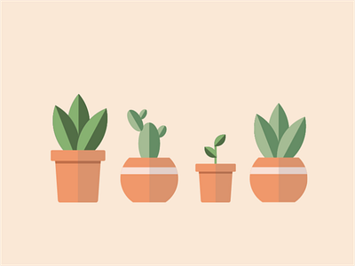 Plants adobe adobe illustrator cactus design illustration plants