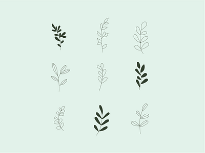 Leaves abstract adobe adobe illustrator aesthetic aesthetics design fern ferns green greenery greens illustration leaves lineart lines plants trees