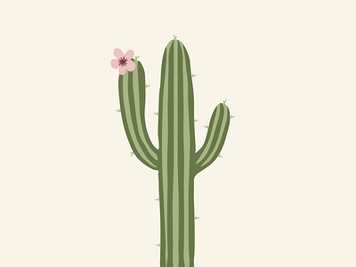Cactus abstract adobe adobe illustrator aesthetic aesthetics cacti cactus desert design flower illustration leaves pink plant