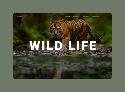 Wildlife landing page tiger ui design wildlife