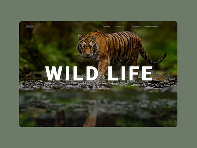 Wildlife