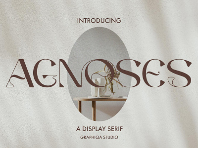 Agnoses - Display Typeface branding design display font illustration letter