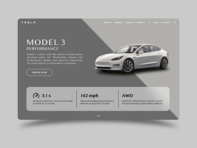 Tesla Web Concept automobile automotive car website homepage landing page tesla teslaweb ui design ux design vehicle web design