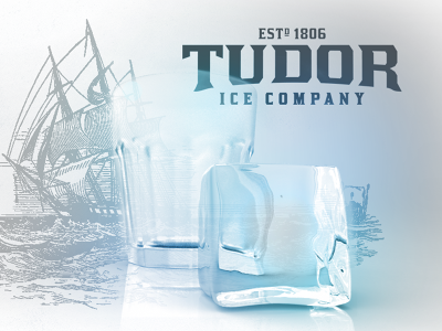 Tudor Ice 3d modeling branding ice illustration