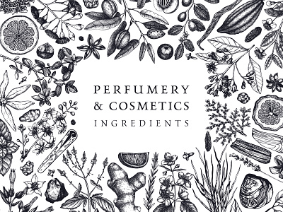 Perfumery and cosmetics ingredients