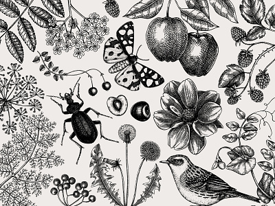 Garden life. Sketched vector illustration