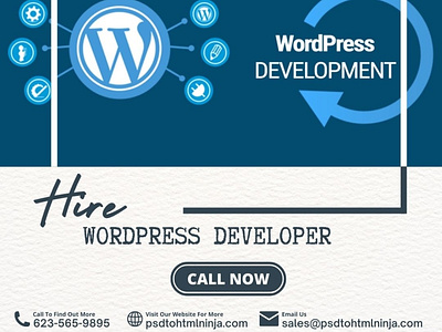 Hire Professional WordPress Developers from PSD to HTML Ninja wordpress developers