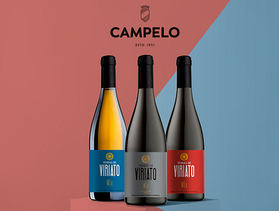 Terras de Viriato // Dão D.O.C. branding design label design package design wine