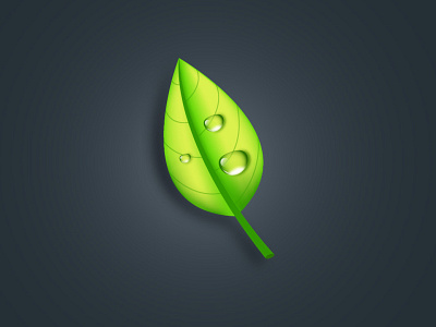 Tree Leaf design illustration vector