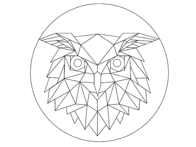 Owls illustrations gif motion