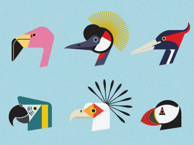 Endangered Birds illustration bird endangered icon geometric flamingo crane puffin