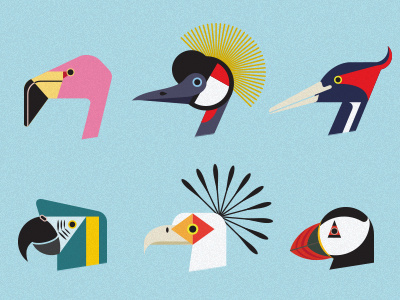 Endangered Birds bird crane endangered flamingo geometric icon illustration puffin