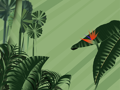 Welcome to My Jungle - illustration/mood green illustrator jungle vector website design