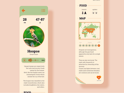 AitabÜ: let's go birding! app design illustration ui vector