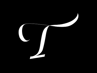 Letter T alphabet calligraphy design letter lettering lettering art lettering artist letters type type art type design