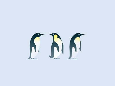 Penguins design graphic design illustration illustrator vector