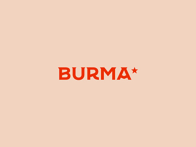 Burma logo redesign branding design graphic design illustration vector